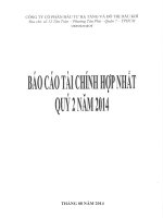 Báo cáo tài chính hợp nhất quý 2 năm 2014 - Công ty Cổ phần Đầu tư Hạ tầng và Đô thị Dầu khí PVC