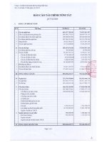 Báo cáo tài chính quý 3 năm 2008 - Công ty Cổ phần Kinh doanh Khí hóa lỏng Miền Nam