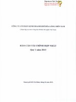 Báo cáo tài chính hợp nhất quý 1 năm 2013 - Công ty Cổ phần Kinh doanh Khí hóa lỏng Miền Nam