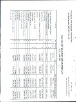 Báo cáo KQKD quý 3 năm 2012 - Công ty Cổ phần Đầu tư và Phát triển Dự án Hạ tầng Thái Bình Dương