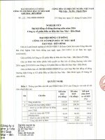 Nghị quyết Đại hội cổ đông thường niên - Công ty cổ phần Đầu tư Dầu khí Sao Mai – Bến Đình