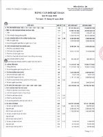 Báo cáo tài chính quý 1 năm 2010 - CTCP Đầu tư Điện lực 3