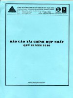 Báo cáo tài chính quý 2 năm 2010 - Công ty cổ phần Xây dựng Phục Hưng Holdings