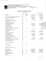 Báo cáo tài chính năm 2013 - Công ty cổ phần Bao bì Đạm Phú Mỹ