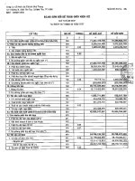 Báo cáo tài chính quý 2 năm 2007 - Công ty Cổ phần Sản xuất Thương mại Dịch vụ Phú Phong