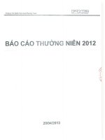 Báo cáo thường niên năm 2012 - Công ty Cổ phần Văn hóa Phương Nam