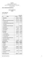 Báo cáo tài chính năm 2008 - Công ty Cổ phần Chứng khoán PHÚ GIA