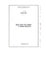 Báo cáo tài chính công ty mẹ quý 2 năm 2013 - Công ty Cổ phần Phú Tài