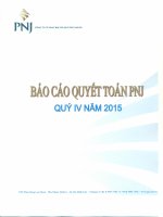 Báo cáo tài chính công ty mẹ quý 4 năm 2015 - Công ty Cổ phần Vàng bạc Đá quý Phú Nhuận