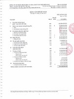 Báo cáo tài chính năm 2011 - Công ty cổ phần Phân bón và Hóa chất Dầu khí Miền Bắc