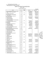 Báo cáo tài chính hợp nhất quý 3 năm 2010 - Tổng Công ty Cổ phần Khoan và Dịch vụ Khoan Dầu khí