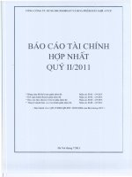 Báo cáo tài chính hợp nhất quý 2 năm 2011 - Tổng Công ty Dung dịch khoan và Hóa phẩm Dầu khí-CTCP