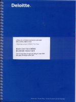 Báo cáo tài chính quý 2 năm 2009 (đã kiểm toán) - Công ty Cổ phần Kinh doanh Khí hóa lỏng Miền Nam