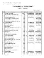 Báo cáo tài chính hợp nhất quý 4 năm 2009 - Công ty Cổ phần Vàng bạc Đá quý Phú Nhuận