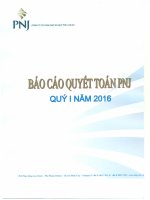 Báo cáo tài chính công ty mẹ quý 1 năm 2016 - Công ty Cổ phần Vàng bạc Đá quý Phú Nhuận