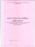 Báo cáo tài chính hợp nhất quý 3 năm 2013 - Công ty Cổ phần Đầu tư và Phát triển Dự án Hạ tầng Thái Bình Dương