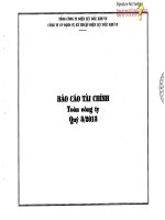 Báo cáo tài chính quý 3 năm 2013 - Công ty Cổ phần Dịch vụ Kỹ thuật Điện lực Dầu khí Việt Nam