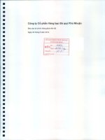 Báo cáo tài chính công ty mẹ quý 2 năm 2014 (đã soát xét) - Công ty Cổ phần Vàng bạc Đá quý Phú Nhuận