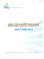Báo cáo tài chính công ty mẹ quý 2 năm 2015 - Công ty Cổ phần Vàng bạc Đá quý Phú Nhuận