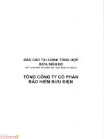 Báo cáo tài chính công ty mẹ quý 1 năm 2016 - Tổng Công ty Cổ phần Bảo hiểm Bưu điện