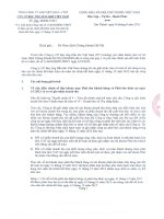 Báo cáo tài chính năm 2012 (đã kiểm toán) - Công ty cổ phần Bọc ống Dầu khí Việt Nam