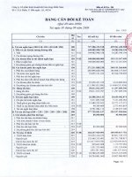 Báo cáo tài chính quý 3 năm 2009 - Công ty Cổ phần Kinh doanh Khí hóa lỏng Miền Nam