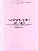 Báo cáo tài chính hợp nhất quý 4 năm 2013 - Công ty Cổ phần Đầu tư và Phát triển Dự án Hạ tầng Thái Bình Dương