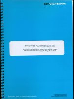 Báo cáo tài chính năm 2010 (đã kiểm toán) - Công ty Cổ phần Cơ khí Xăng dầu
