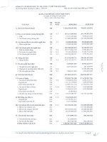 Báo cáo tài chính hợp nhất quý 3 năm 2010 - Công ty Cổ phần Đầu tư Hạ tầng và Đô thị Dầu khí PVC