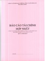 Báo cáo tài chính hợp nhất quý 2 năm 2013 - Công ty Cổ phần Đầu tư và Phát triển Dự án Hạ tầng Thái Bình Dương