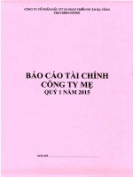 Báo cáo tài chính công ty mẹ quý 1 năm 2015 - Công ty Cổ phần Đầu tư và Phát triển Dự án Hạ tầng Thái Bình Dương