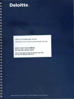 Báo cáo tài chính quý 2 năm 2011 (đã soát xét) - Công ty cổ phần Đầu tư PV2