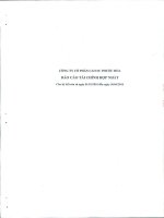 Báo cáo tài chính hợp nhất quý 2 năm 2010 - Công ty cổ phần Cao su Phước Hòa