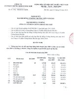 Nghị quyết đại hội cổ đông ngày 02-02-2010 - Công ty cổ phần Chứng khoán Dầu khí