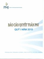 Báo cáo tài chính công ty mẹ quý 1 năm 2015 - Công ty Cổ phần Vàng bạc Đá quý Phú Nhuận