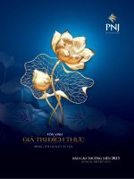 Báo cáo thường niên năm 2013 - Công ty Cổ phần Vàng bạc Đá quý Phú Nhuận