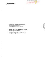 Báo cáo tài chính hợp nhất quý 2 năm 2013 (đã soát xét) - Tổng Công ty Dung dịch khoan và Hóa phẩm Dầu khí-CTCP