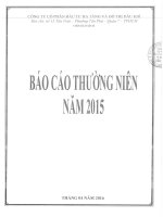 Báo cáo thường niên năm 2015 - Công ty Cổ phần Đầu tư Hạ tầng và Đô thị Dầu khí PVC