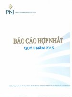 Báo cáo tài chính hợp nhất quý 2 năm 2015 - Công ty Cổ phần Vàng bạc Đá quý Phú Nhuận