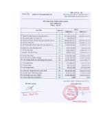 Báo cáo KQKD công ty mẹ quý 1 năm 2013 - Công ty Cổ phần Phú Tài