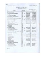 Báo cáo tài chính quý 3 năm 2012 - Công ty cổ phần chứng khoán Phương Nam