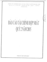 Báo cáo tài chính hợp nhất quý 2 năm 2015 - Công ty Cổ phần Đầu tư Hạ tầng và Đô thị Dầu khí PVC
