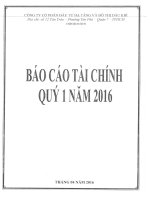 Báo cáo tài chính công ty mẹ quý 1 năm 2016 - Công ty Cổ phần Đầu tư Hạ tầng và Đô thị Dầu khí PVC
