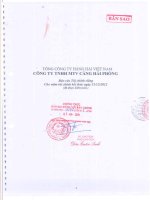 Báo cáo tài chính công ty mẹ năm 2012 (đã kiểm toán) - Công ty cổ phần Cảng Hải Phòng