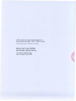 Báo cáo tài chính công ty mẹ năm 2009 (đã kiểm toán) - Tổng Công ty Dung dịch khoan và Hóa phẩm Dầu khí-CTCP