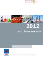 Báo cáo thường niên năm 2012 - Tổng Công ty Dung dịch khoan và Hóa phẩm Dầu khí-CTCP