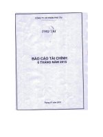 Báo cáo tài chính công ty mẹ quý 2 năm 2015 - Công ty Cổ phần Phú Tài