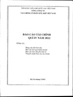 Báo cáo tài chính công ty mẹ quý 4 năm 2012 - Tổng Công ty Tài chính Cổ phần Dầu khí Việt Nam