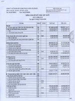 Báo cáo tài chính hợp nhất quý 4 năm 2010 - Công ty cổ phần Xây dựng Phục Hưng Holdings