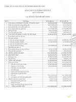 Báo cáo tài chính quý 1 năm 2009 - Công ty cổ phần Vận tải và Dịch vụ Petrolimex Sài Gòn